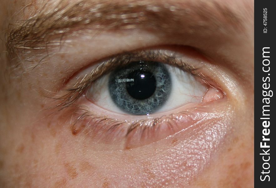 Close up on a male human eye. Close up on a male human eye.
