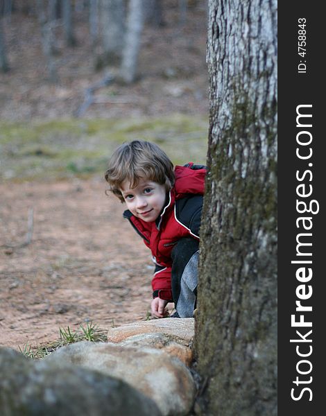 4 year old boy hiding behind a tree