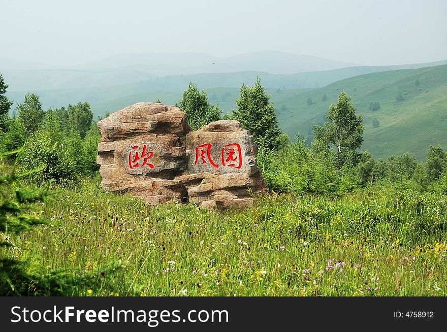 Hebei Chongli plateau summer lawn