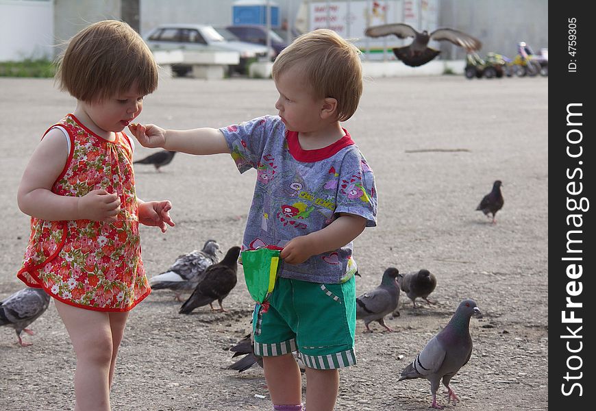 Small boy and the girl feed pigeons. Small boy and the girl feed pigeons.