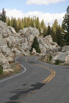 Road Through Yellowstone NP Stock Photos