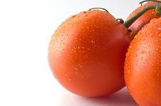 Vine Ripe Tomatoes Royalty Free Stock Images