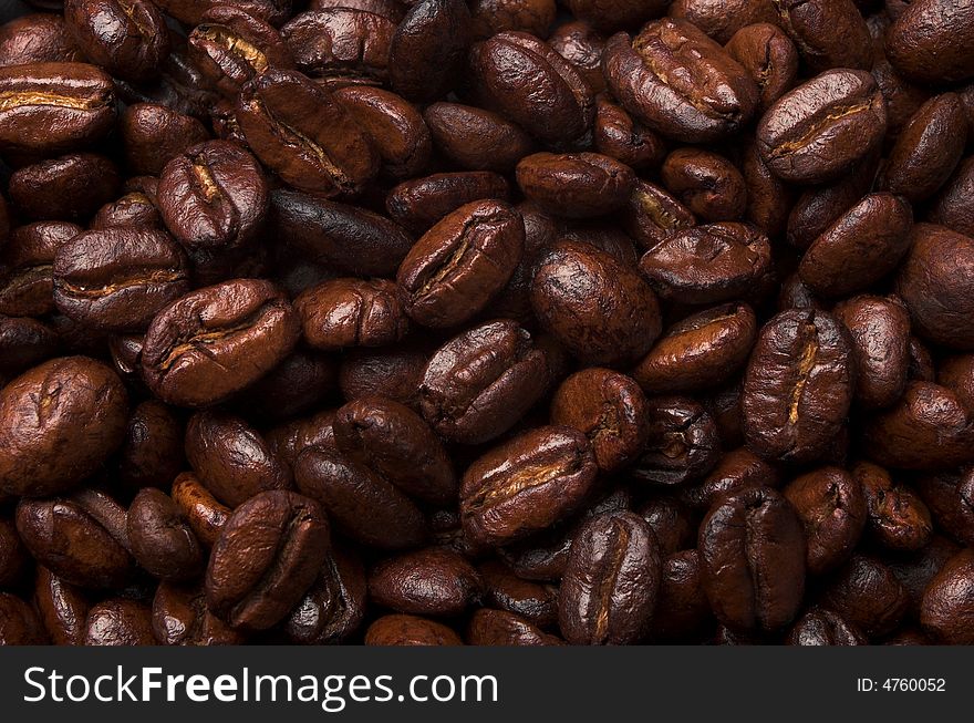 Fresh shiny coffee beans close up. Fresh shiny coffee beans close up