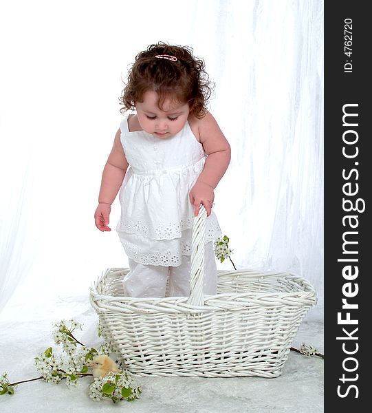 Baby girl in wicker basket looking at chick in front of white background with flowers on floor. Baby girl in wicker basket looking at chick in front of white background with flowers on floor