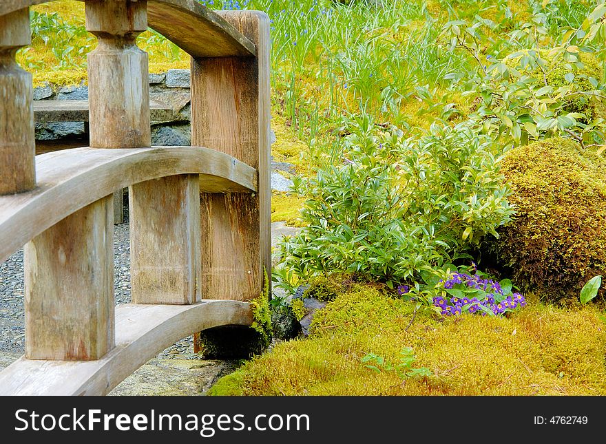 Wooden bridge in Japanese garden