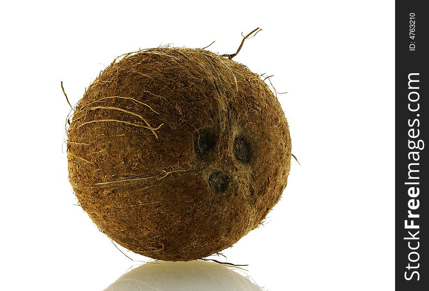 Close Up Shot Of Fresh Single Coconut
