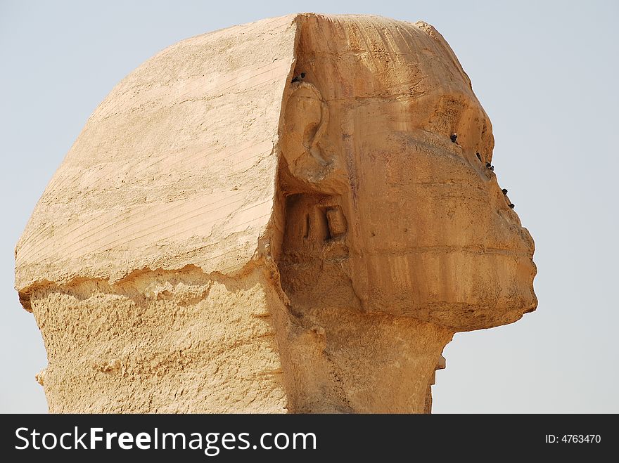 Egypt Cairo Sphinx Of Giza