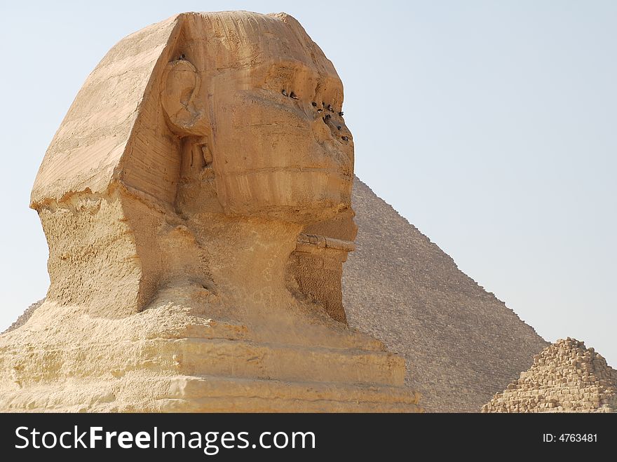 Egypt Cairo Sphinx of Giza 2007 spring