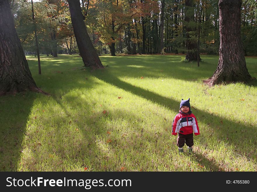 Little Boy In The Forest