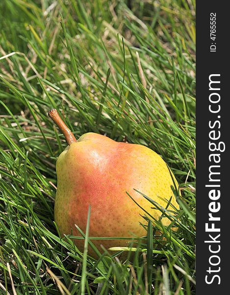 Fresh pear on green grass background