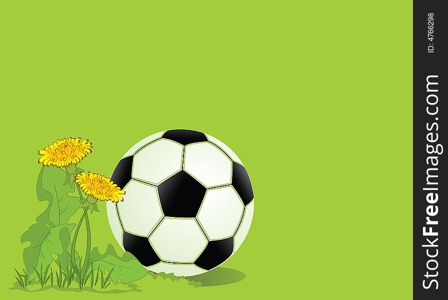 Football in dandelions, vector illustration