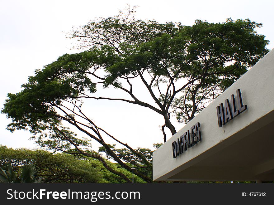 Raffles Residence Singapore Daylight Hall scene tree sky tropical. Raffles Residence Singapore Daylight Hall scene tree sky tropical