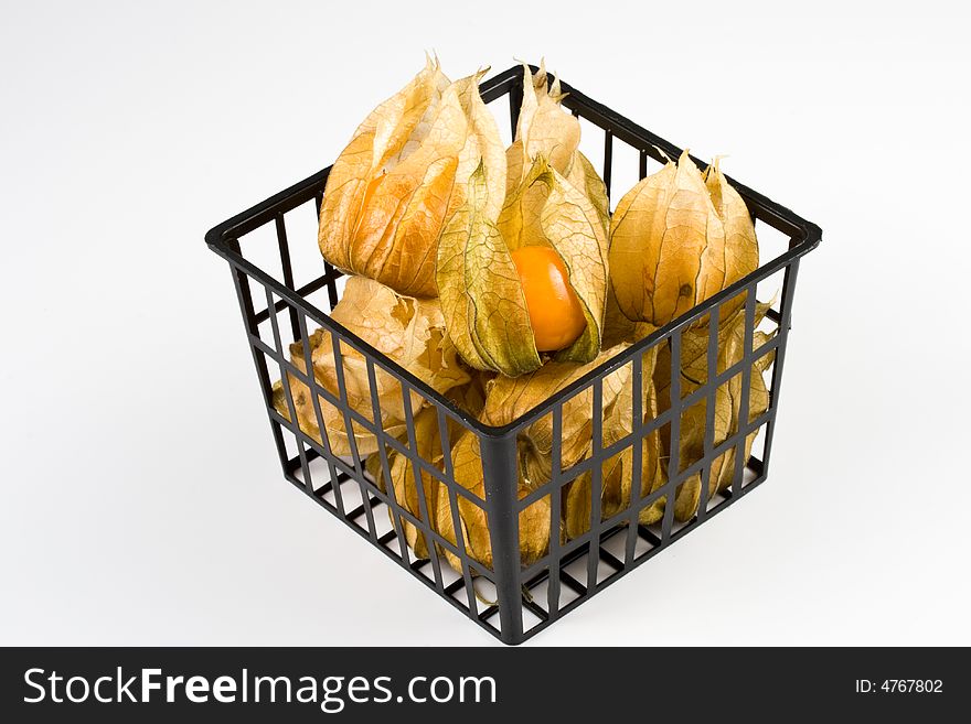 Fresh physalis isolated on a white background
