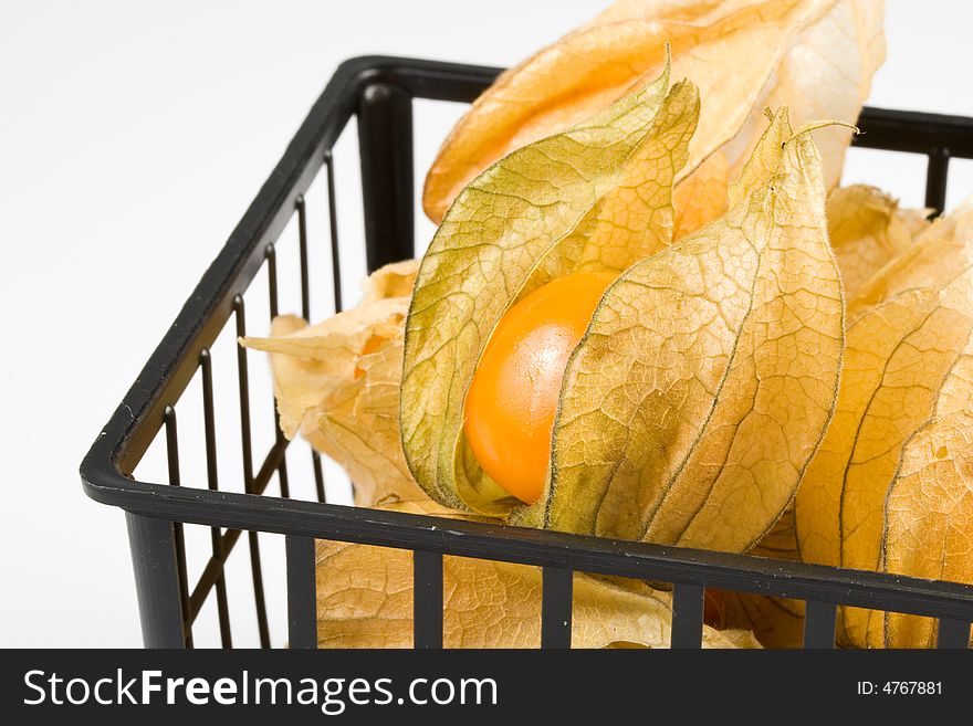 Fresh physalis isolated on a white background