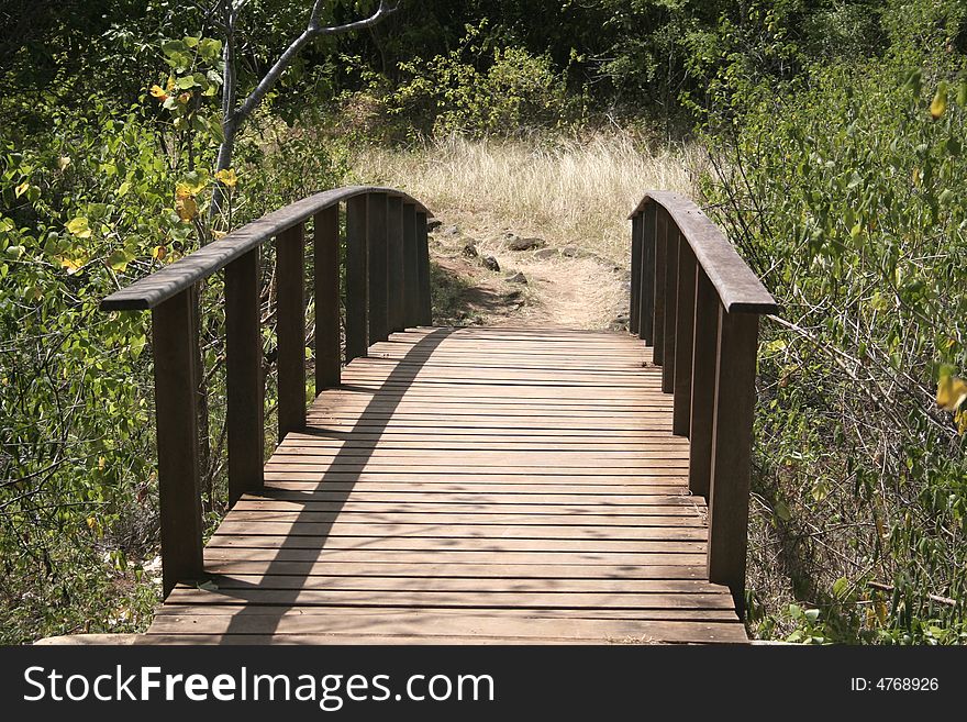 A wodden bridge on a path in Fernando de Noronha - Brazil. A wodden bridge on a path in Fernando de Noronha - Brazil.