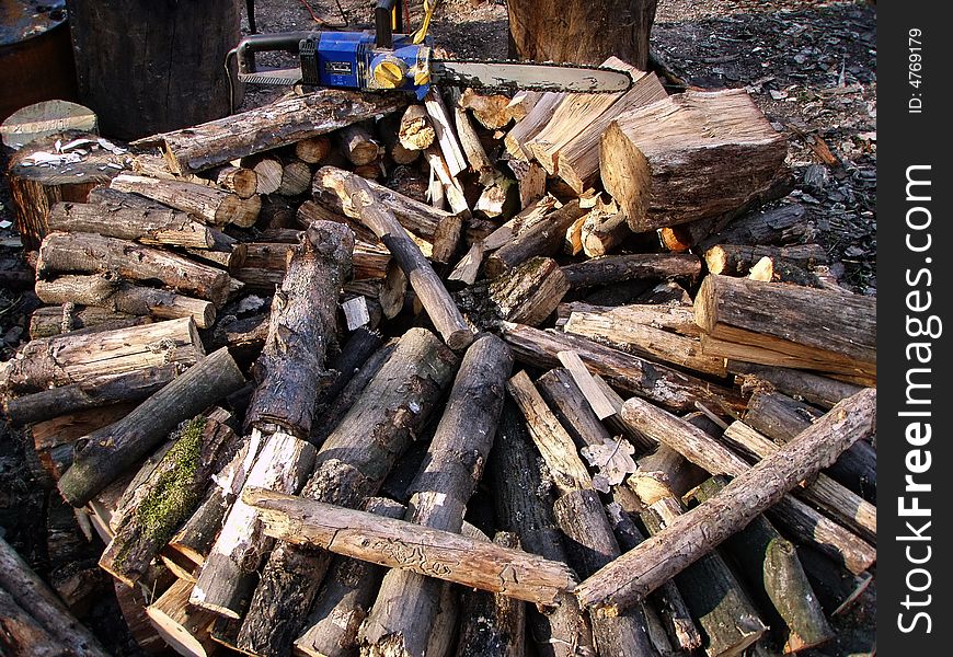Firewood folded in the circle. Thick and thin branches. The electric saws. Firewood folded in the circle. Thick and thin branches. The electric saws.
