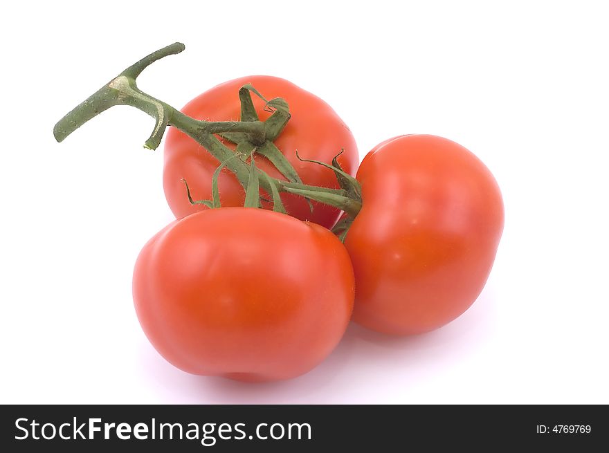 Three full red tomatoes on a branch.