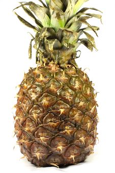 Pineapple Royalty Free Stock Photo Pineapple Royalty Free Stock Photo