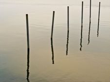 Poles In Water 2-8 Royalty Free Stock Photo