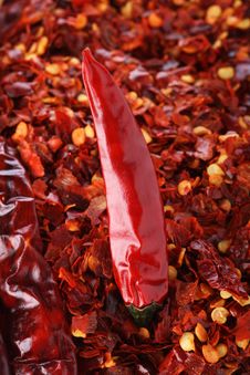 Hot Red Chilli Chillies Pepper On Red Chili Royalty Free Stock Images