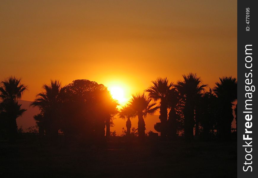 Tropical landscape with palms and sunset. Recorded in Turkey. Tropical landscape with palms and sunset. Recorded in Turkey.