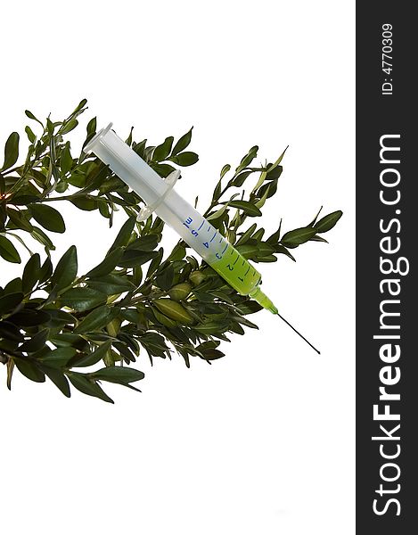 Syringe and green sprig isolated over white background. Syringe and green sprig isolated over white background