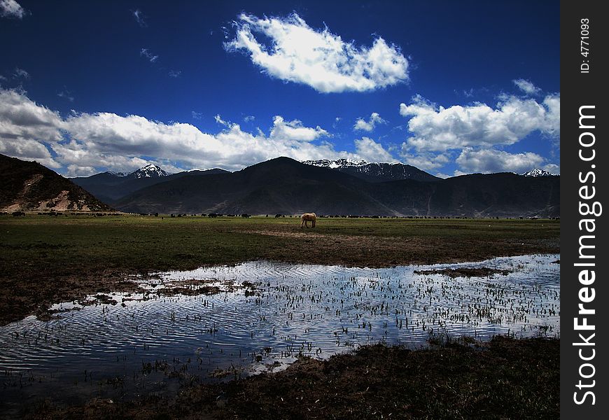 Meadow named Napa Sea in Yun-nan Province，China