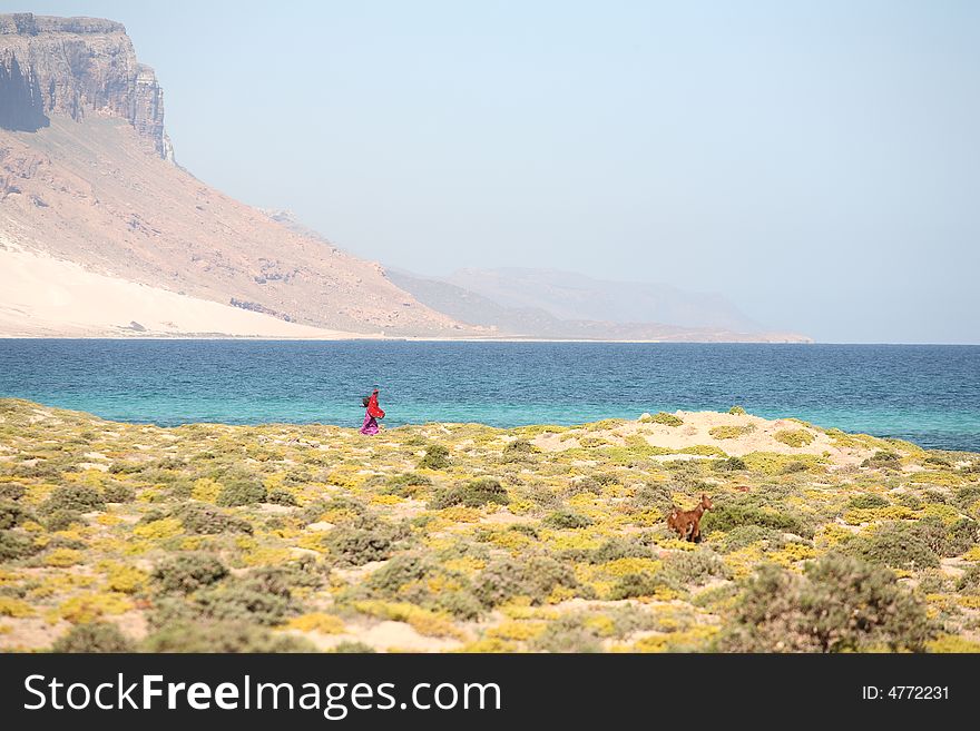 Beautiful bay on Socotra island