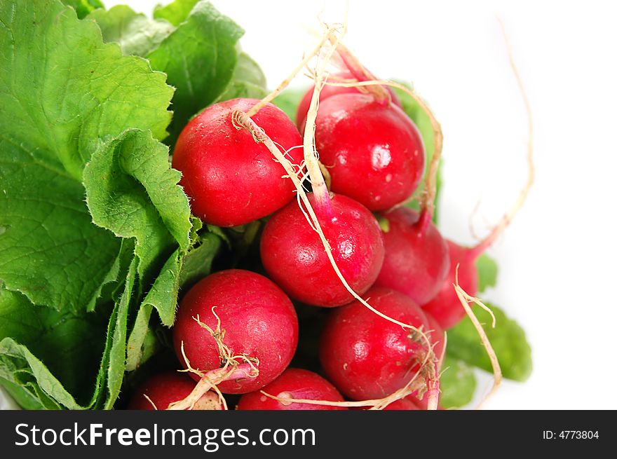 Radish with green ends isolated on white