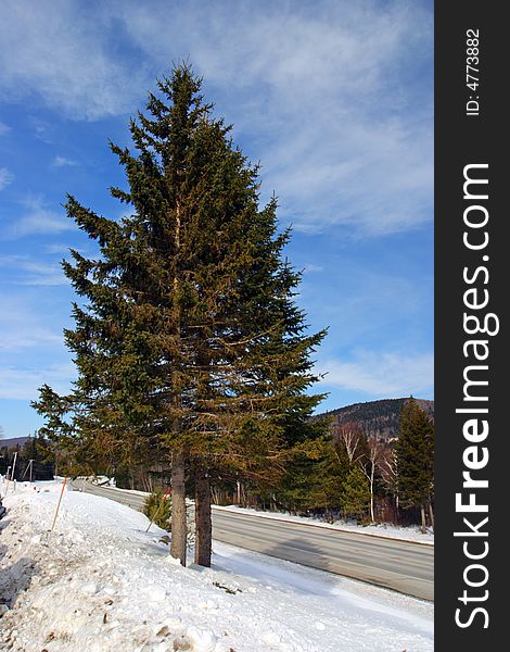 Winter at Bretton Woods, New Hampshire