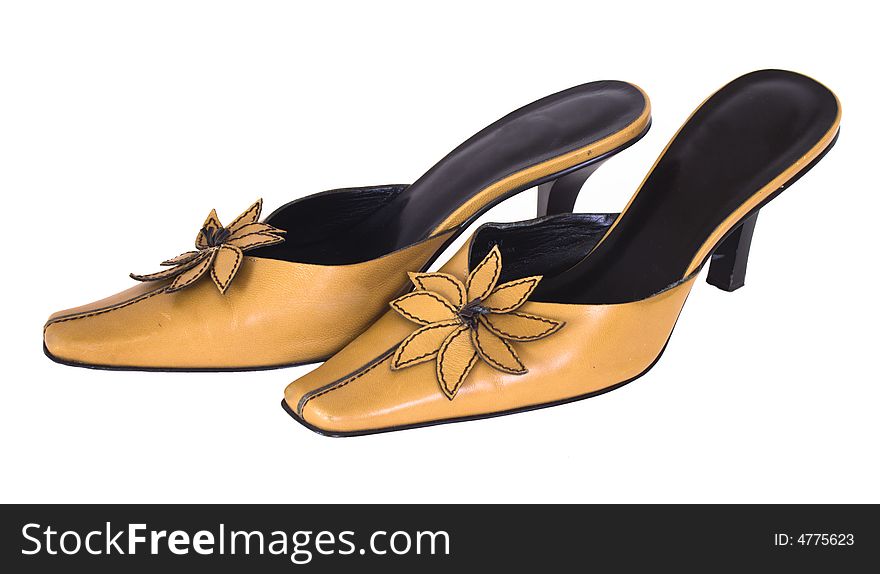 Tan Ladies Shoes,isolated