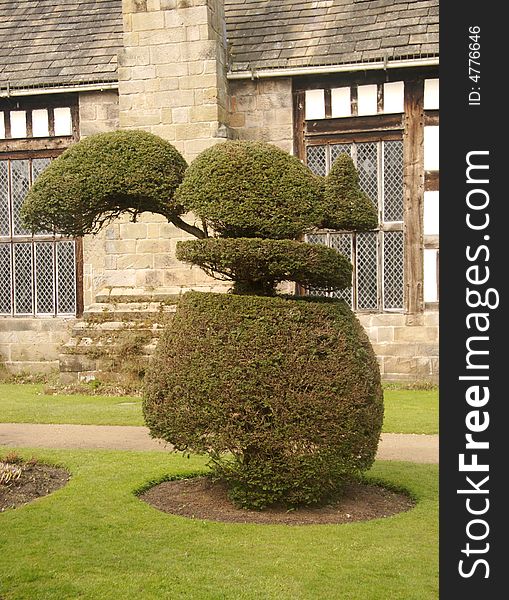 Topiary Squirrel in a garden in England