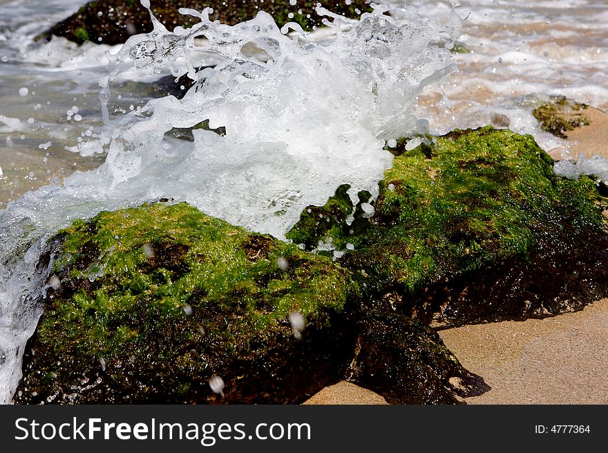 A wave crashes into a mossy rock. A wave crashes into a mossy rock.