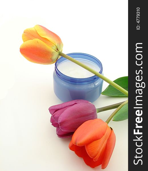 Colorful Tulips And Cream Isolated