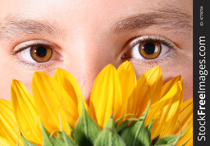 Hazel eyes peeping over the petals of a sunflower. Hazel eyes peeping over the petals of a sunflower