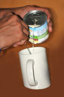 Making Tea Stock Image
