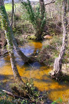 Stream Stock Photography Stream Stock Photography