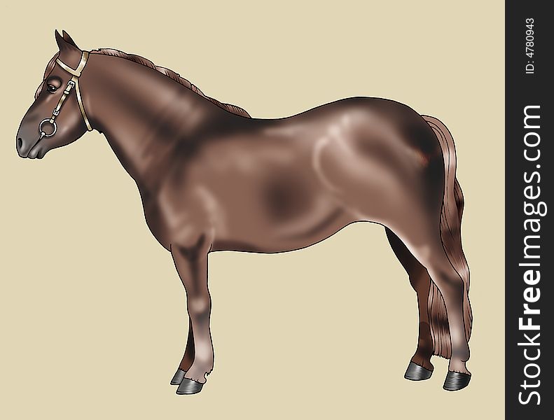 Illustration of a brown pony - Pottok breed - Realistic style