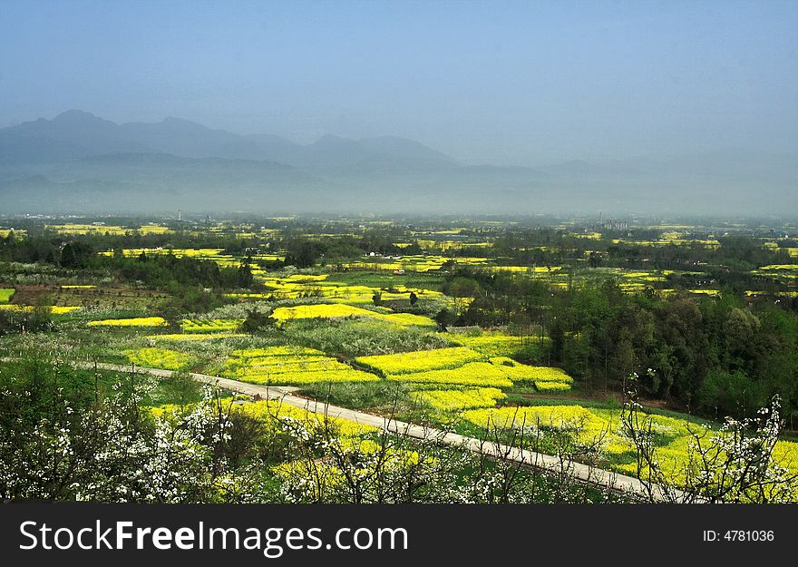 In the spring,we go to the countryside.there are many flowers in cultivated lands. In the spring,we go to the countryside.there are many flowers in cultivated lands.