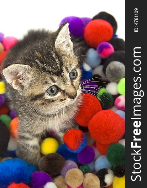 A kitten sits in a pile of colorful puff balls on a white background. A kitten sits in a pile of colorful puff balls on a white background