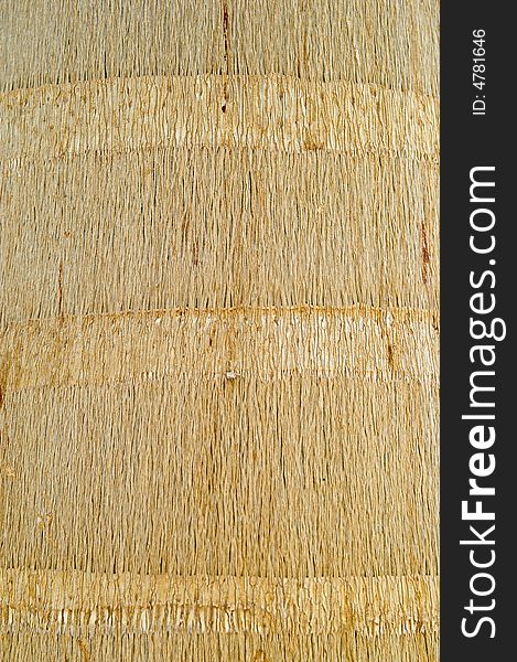 Royal Palm Wooden Texture