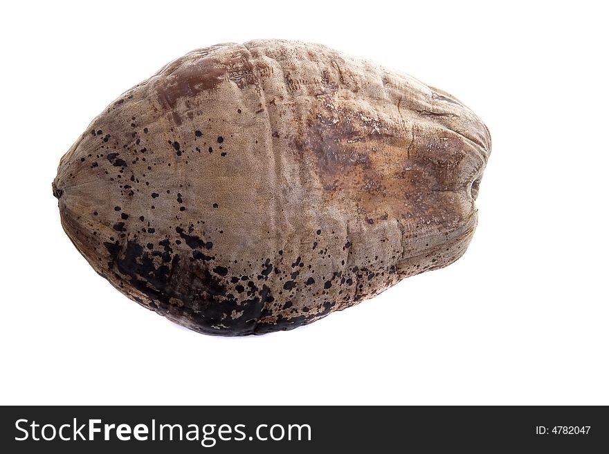 An old coconut isolated on a white background