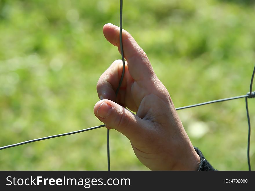 Hand in wire - symbol of freedom versus prison