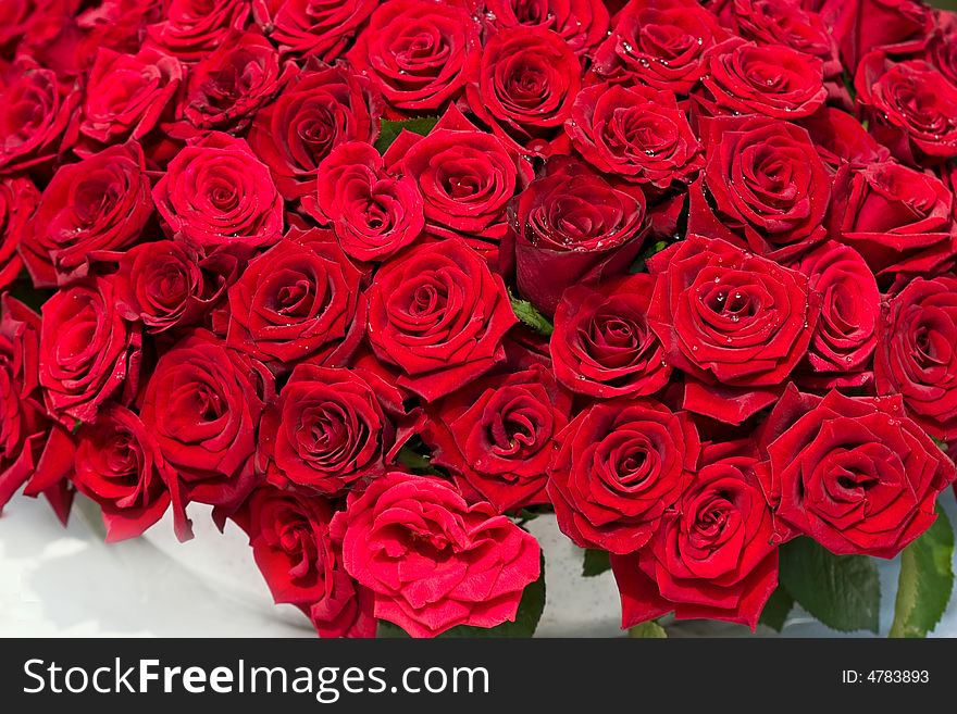 Flower series: bunch of red roses. romantic mood. Flower series: bunch of red roses. romantic mood