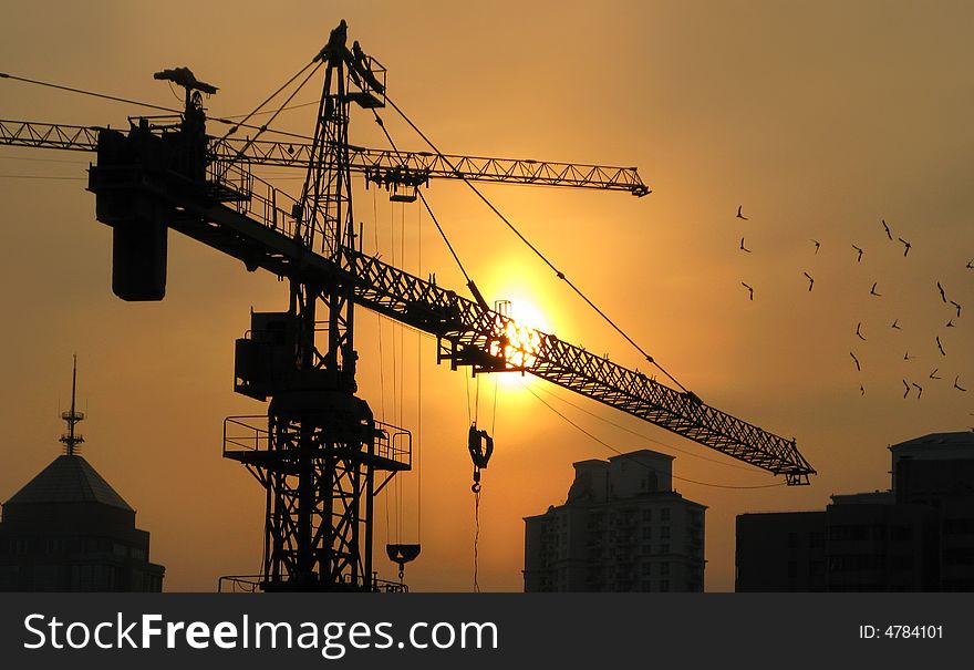 Sunset at Shanghai through construction machinery and birds