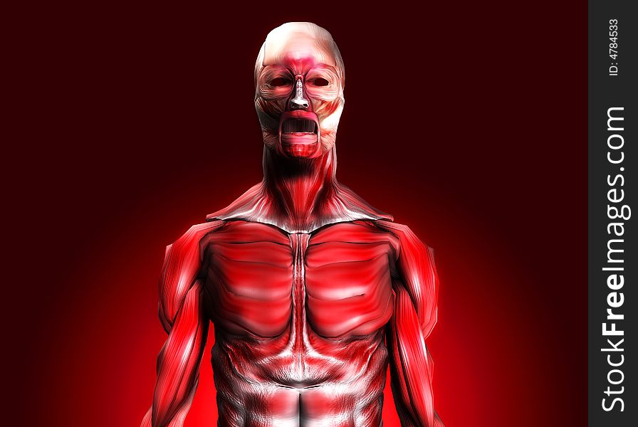 A male body that is made up of just muscles, it would make a good medical or Halloween image. A male body that is made up of just muscles, it would make a good medical or Halloween image.