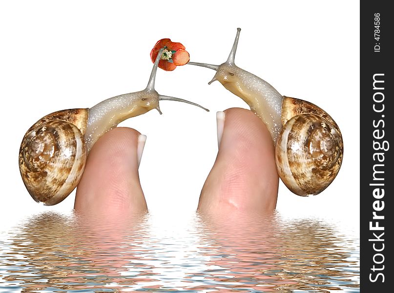 Snail on a finger