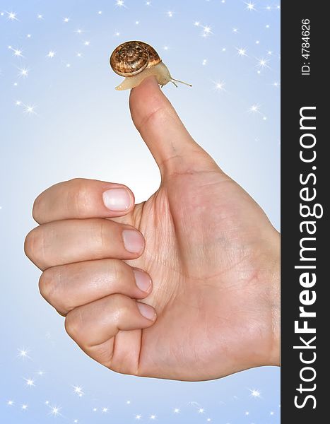 Snail on a finger