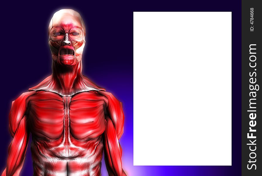 Muscles With Blank Area