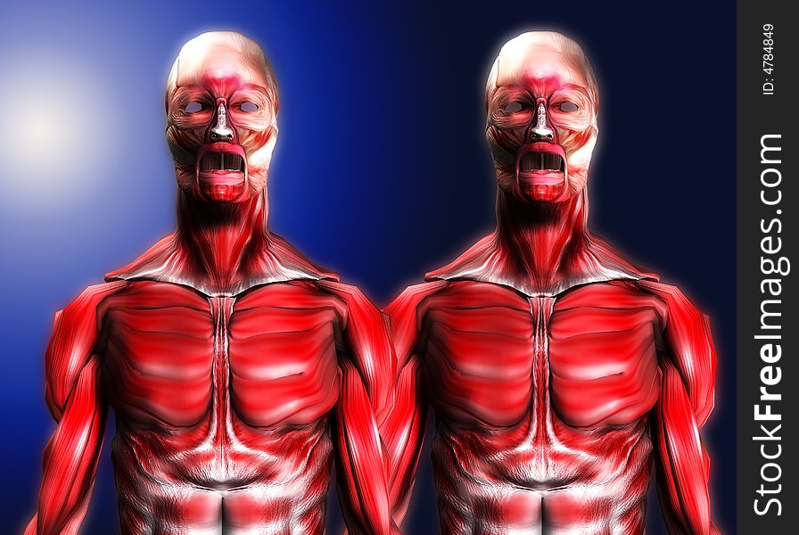 A set of male bodies that is made up of just muscles, it would make a good medical or Halloween image. A set of male bodies that is made up of just muscles, it would make a good medical or Halloween image.